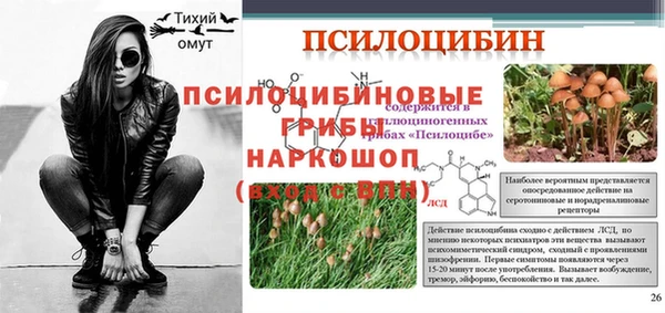 гидра Алагир