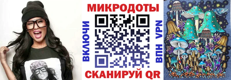 Псилоцибиновые грибы Psilocybe Егорьевск