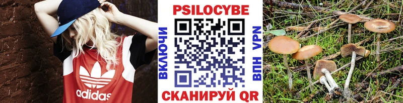 hydra зеркало  Егорьевск  Псилоцибиновые грибы Psilocybe 