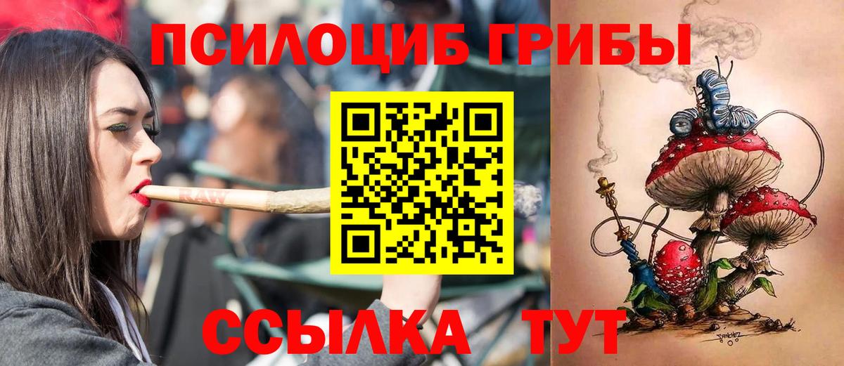 Галлюциногенные грибы Psilocybe  Вход с VPN  Егорьевск 